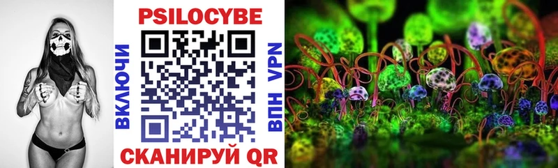 площадка клад  Абаза  Галлюциногенные грибы Psilocybe 